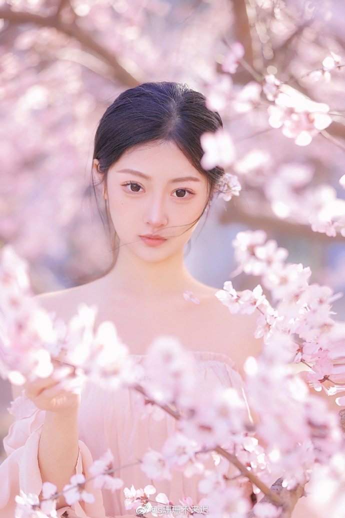 卧虎藏龙